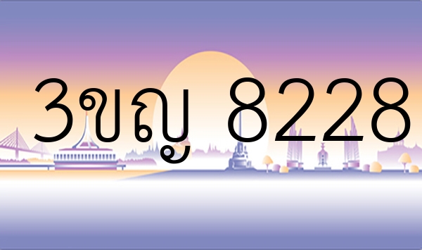 3ขญ 8228